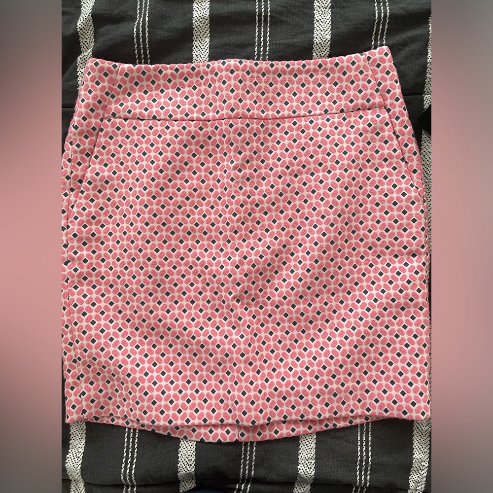 Ann Taylor skirt
